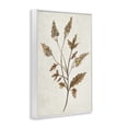 thumbnail image 3 of Stupell Industries Farmhouse Neutral Garden Botanics White Framed Giclee Art, 12 x 18, by Janice Gaynor, 3 of 8