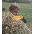 thumbnail image 5 of Top Grain Leather Work, Gardening Gloves for Children Ages 6-8, 5 of 5