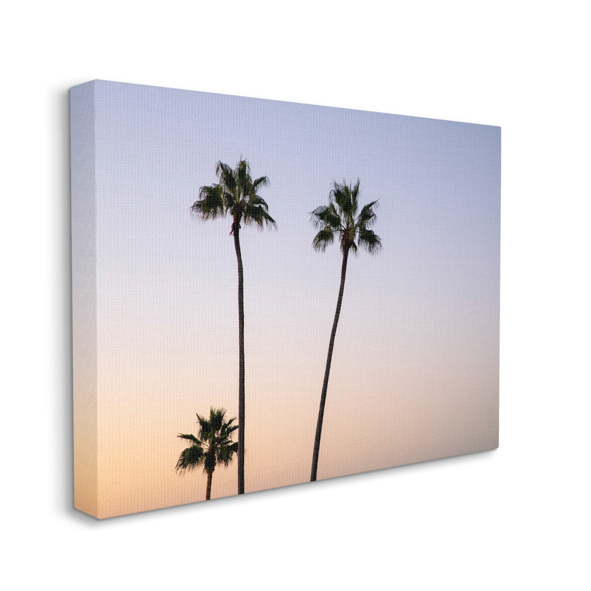 Stupell Industries Tropical Tall Palm Trees Sunrise Sunset Photography Coastal Photography Gallery-Wrapped Canvas Print Wall Art, 20 x 16, Design by Kathy Mansfield