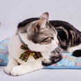 thumbnail image 3 of Tapis de Glace pour Chat Auto-Refroidissant Tapis de Refroidissement d'Été, 3 of 5