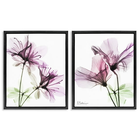 Stupell Industries Purple Flower Bloom Design Botanical & Floral Photography Black Floater Framed Canvas Art Print Wall Art, 17 x 21, Set of 2