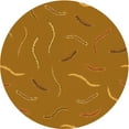 thumbnail image 1 of Ahgly Company Machine Washable Indoor Round Transitional Mahogany Brown Area Rugs, 8' Round, 1 of 7