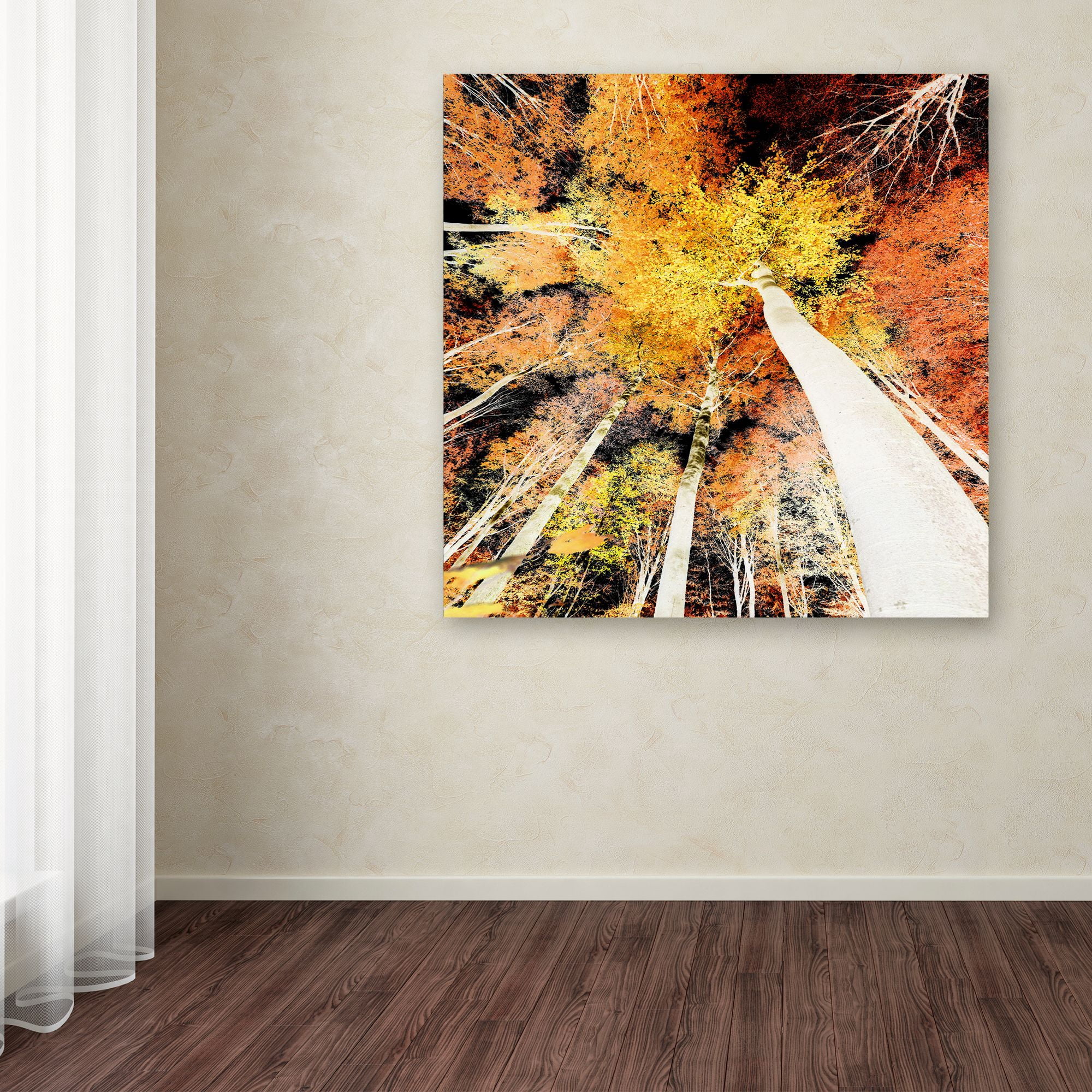 Trademark Fine Art "Damn Nation" Canvas Art by Philippe Sainte-Laudy