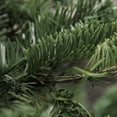 thumbnail image 3 of Northlight Real Touch™️ Nordmann Fir Layered Artificial Christmas Tree - Unlit - 9', 3 of 6