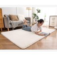 thumbnail image 1 of Soft Fluffy Area Rug, Washable Silk-Wool PV Fleece, Non-Slip, Family and pet Friendly Living Room Rug (White,20×32 inch), 1 of 6