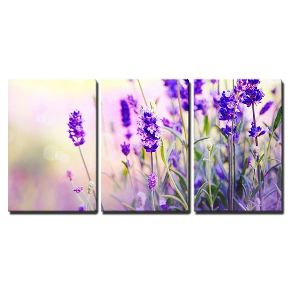 wall26 Canvas Print Wall Art Set Lavender Flower Field Close Up Floral Wilderness Photography Realism Rustic Scenic Colorful Multicolor for Living Room, Bedroom, Office - 16"x24"x3 Panels