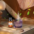 thumbnail image 4 of Hot6sl Ofertas de La Semana Acetato Aromatasa para Aliviar La Fatiga Que Ayuda a Respirar 10 Ml, 4 of 7