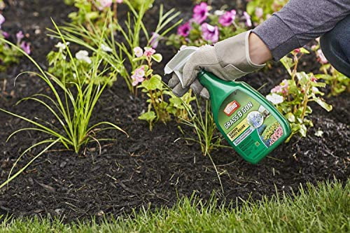 Ortho Grass B Gon Garden Grass Killer, 24-Ounce (3 Pack), Ready-to-Use, Spray, Weed Killer