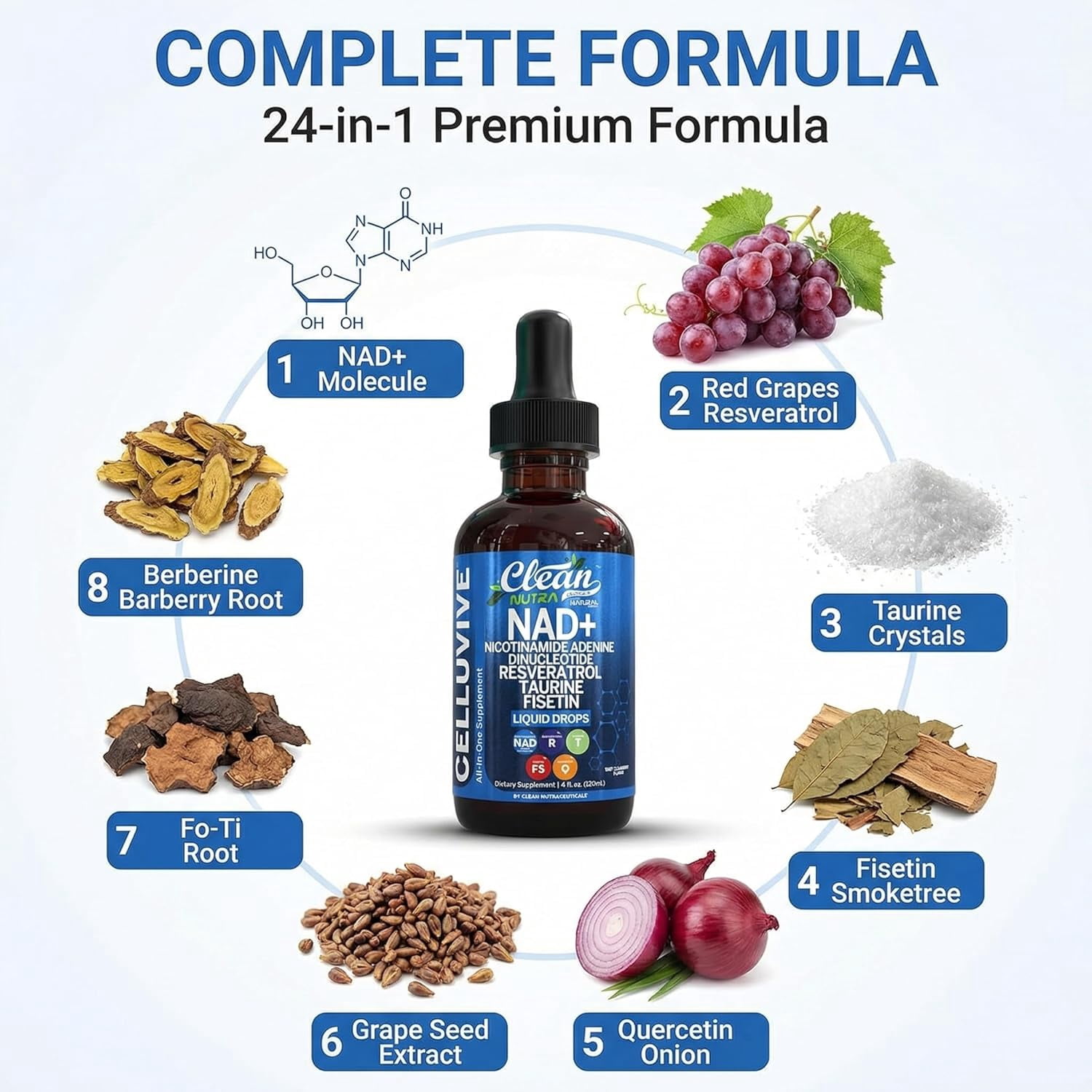 Clean Nutra NAD Liquid Supplement Drops Resveratrol Polyphenols Liposomal Taurine Fisetin Grape Seed Extract Japanese Knotweed Fo Ti Anti Aging NAD+ Nicotinamide Adenine Dinucleotide for Women & Men