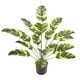 thumbnail image 1 of Planta falsa Injueey 18 hojas 82cm decoración de árbol artificial hogar sala de escritorio, 1 of 6