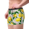 thumbnail image 4 of Fotbe Lemon Seamless Pattern Oil Painting Effect Men’s Total Support Pouch Boxer Briefs, X-Temp Cooling, Moisture-Wicking Underwear, Regular, Long-leg and Trunk-Small, 4 of 9