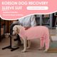 thumbnail image 4 of Funda KOESON para perros Dog Recovery Sleeve, 4 of 6
