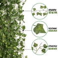 thumbnail image 2 of 78Ft 12pcs Silk Artificial Ivy Vine Hanging Leaves Plant Greenery Decor Party Home Garden Wedding Wall Decor (Scindapsus), 2 of 5