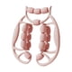 thumbnail image 1 of Masabraer de piernas Roder sujeción de piernas para equipos de culturismo en el muslo de la pantorrilla gimnasio Rosa, 1 of 8