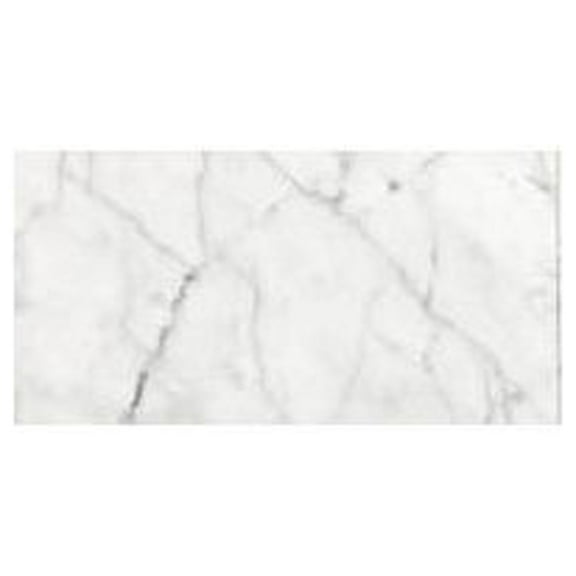 CintBllTer Carrara () Bianco Honed 6x12 Subway Marble Tile (2 Pieces)