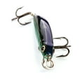 thumbnail image 6 of Ozark Trail 1/16 Ounce Natural Minnow Fishing Lure, 6 of 17