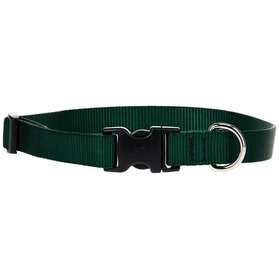 LupinePet Basics 3/4" Green 13-22" Adjustable Collar for Medium and Larger Dogs