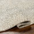 thumbnail image 5 of Hauteloom Daiva Living Room, Bedroom Area Rug - High Pile - Beige, Gray - 2' x 3', 5 of 6