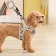 thumbnail image 4 of Magshion No Pull Dog Harness with Leash, No Choke Reflective Pet Vest Adjustable Breathable Mesh Harnesses Dogs Walking, Beige XS, 4 of 10