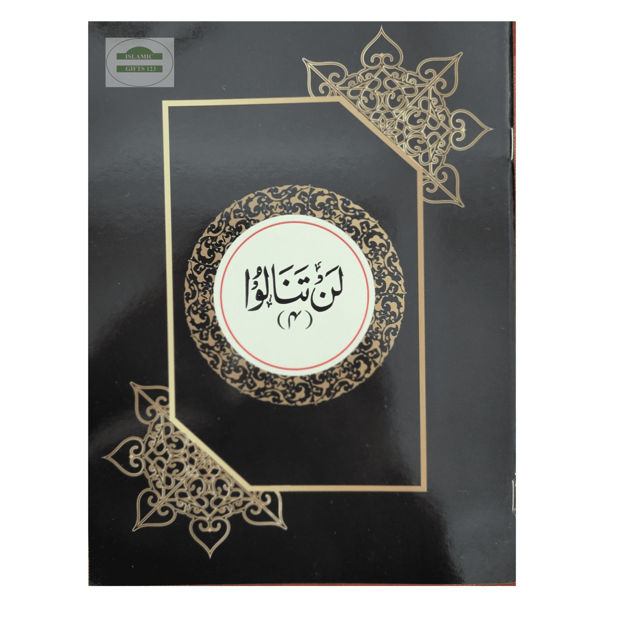 30 Para Set of the Holy Quran – Large Bold Script (9 Lines Per Page) | 30 Separate Sections Great Gift for Ramadan, Friends, and Family Ramadan Gift Eid gifts