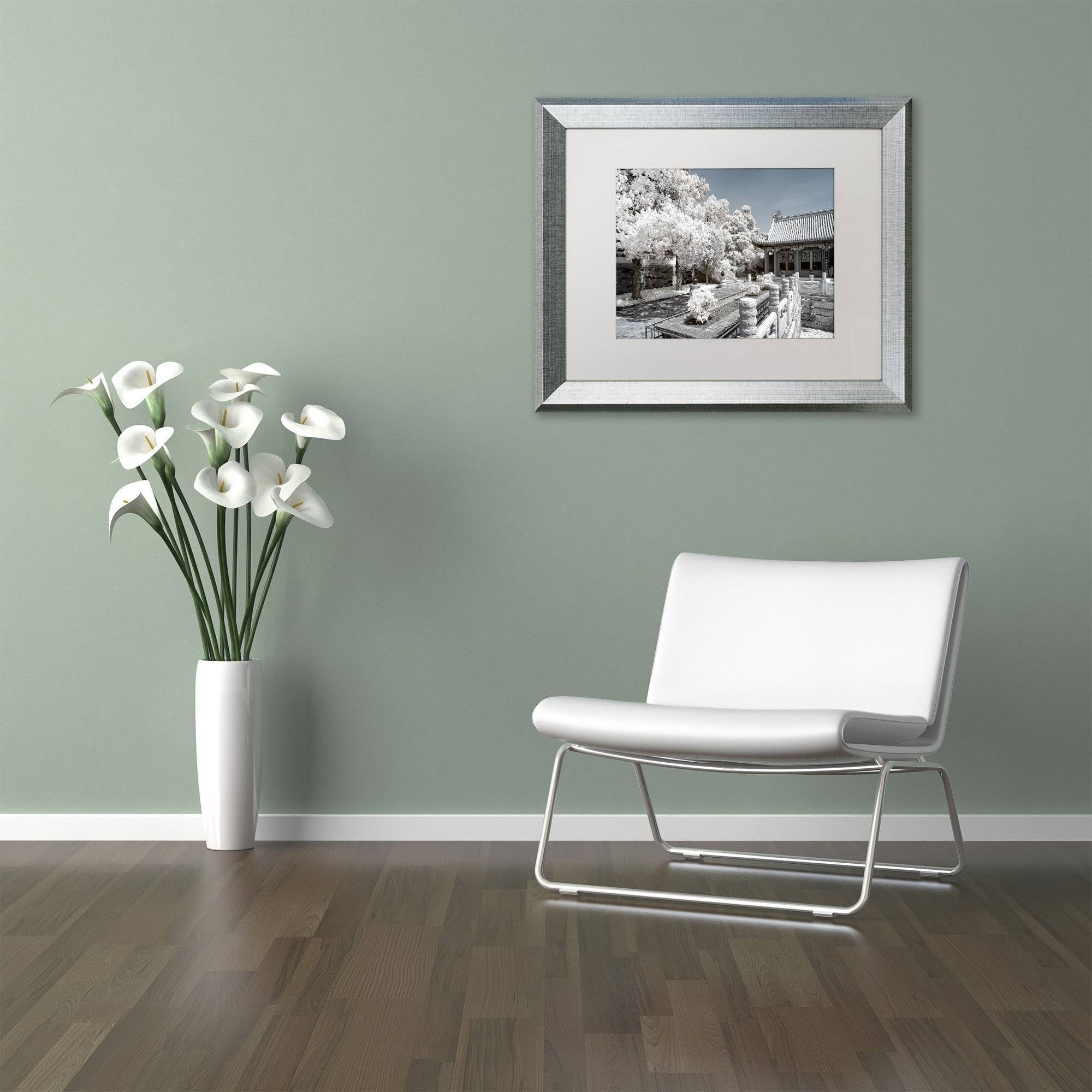 Trademark Fine Art "Reflection" Canvas Art by Philippe Hugonnard, White Matte, Silver Frame