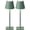 Green-2, variant on 2 Cordless Table Lamp,Portable Desk Lamp, 4000mAh Operated, 3 Color Stepless Dimming Up, for Restaurant//Bars/Outdoor Party/Camping/Coffee Shop Night Light(Orange)