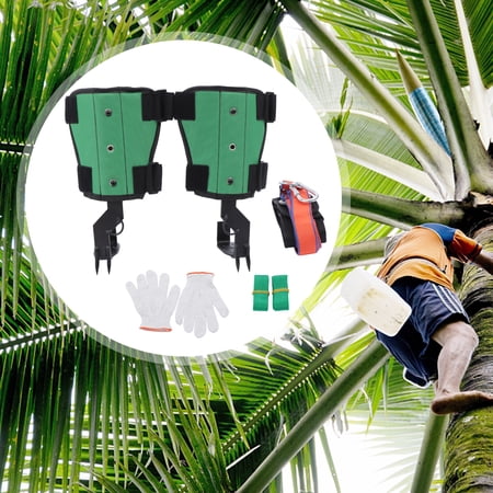 Upgraded Heavy-Duty Tree Climbing Spikes with Double Claw Design Waist Safety Belt Knee Pads and Anti-Slip Pedals for Safe and Easy Tree Climbing