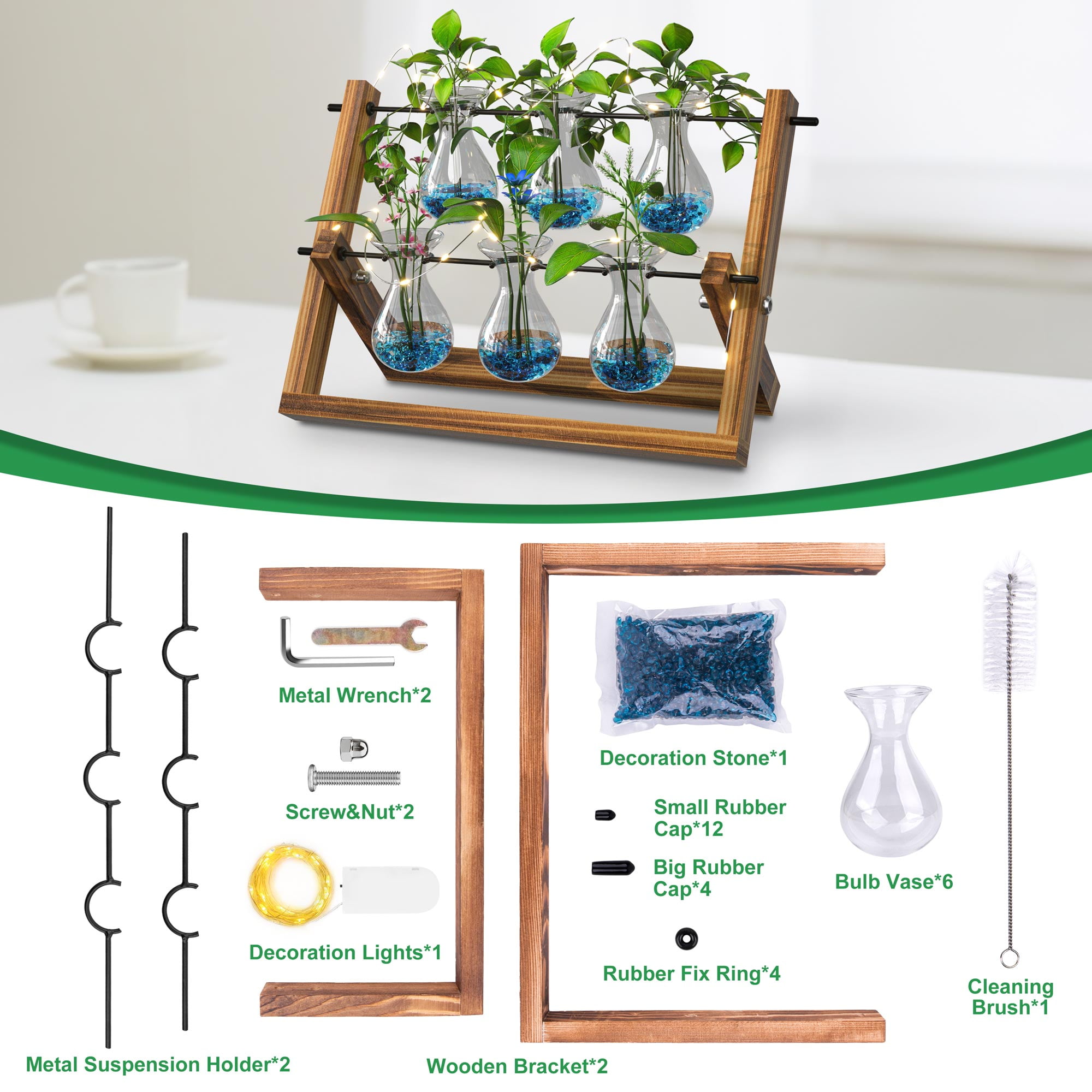 Buy EVEAGE UPGRADE VERSION Clear Plant Terrarium with Wooden Stand