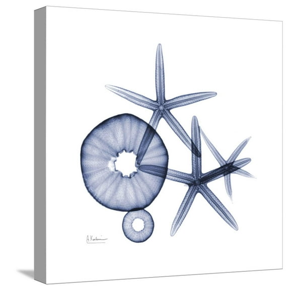 Art.com Little Urchins Stretched Canvas Print Wall Art by Albert Koetsier, 16" x 16"