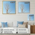 thumbnail image 4 of Designart "Azure Timber Lineage Snapshot I" Landscape Trees Floater Framed Canvas Prints, 4 of 5