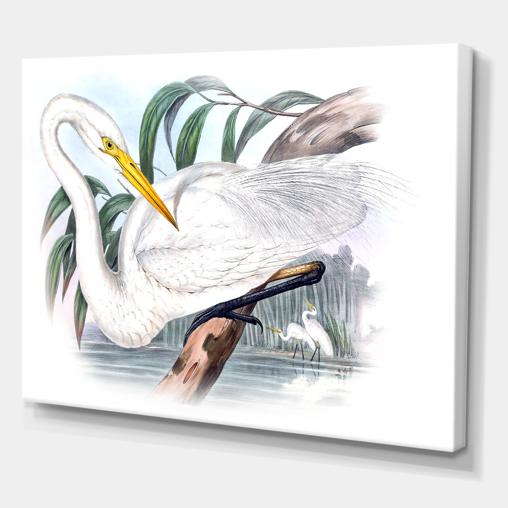 Designart ' Ancient Australian Birds IV ' Traditional Canvas Wall Art Print