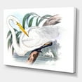 thumbnail image 3 of Designart ' Ancient Australian Birds IV ' Traditional Canvas Wall Art Print, 3 of 4