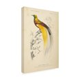 thumbnail image 2 of Wild Apple Portfolio 'Oiseaux de Paradis' Canvas Art, 2 of 3