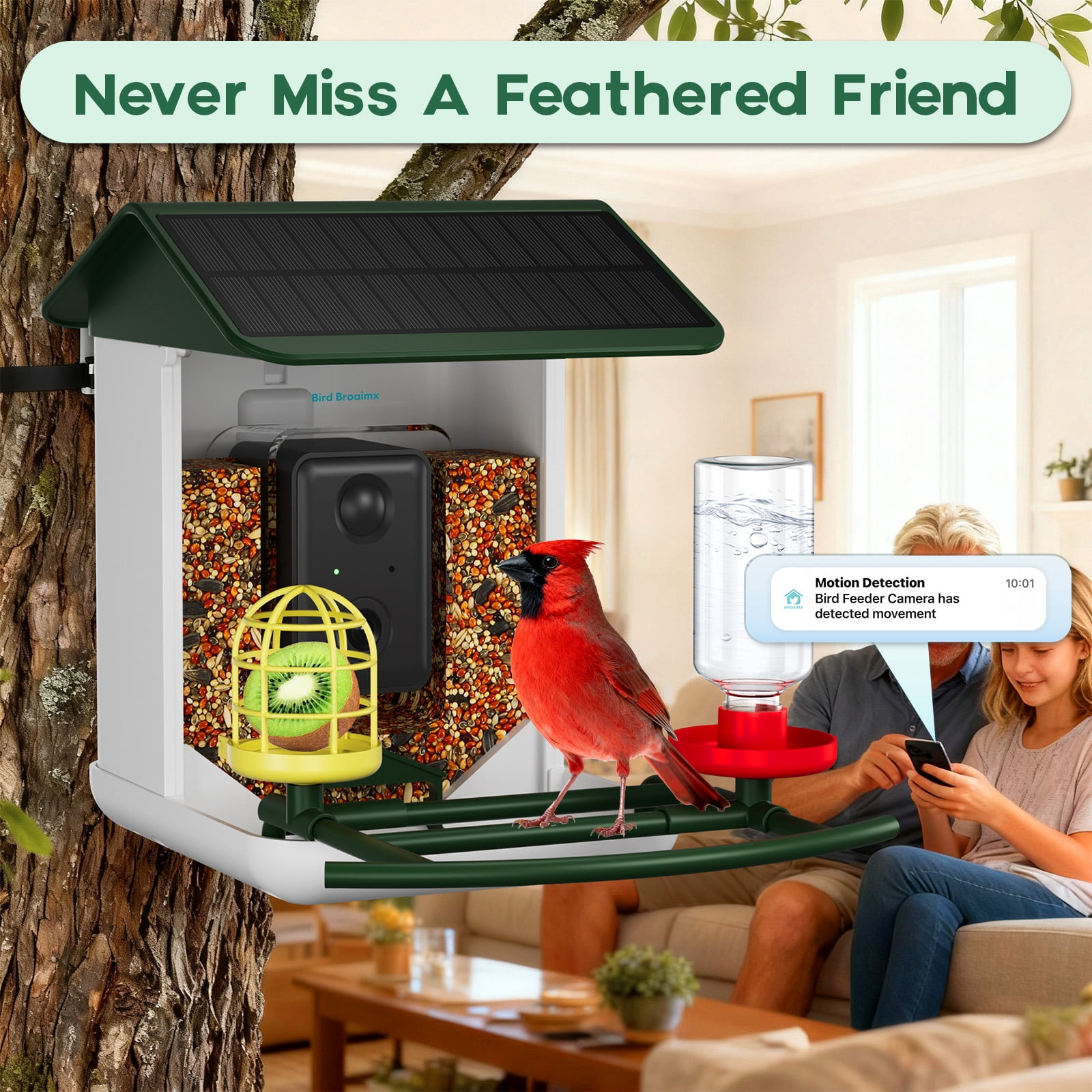 Bird Feeder with Camera No Subscription-Free AI Forever for 1,1000+ Birds Identification, 2K HD & 5MP Night Vision, Record Video Live View, 64GB Card, App Alerts, Gifts for Bird Lovers (Green)