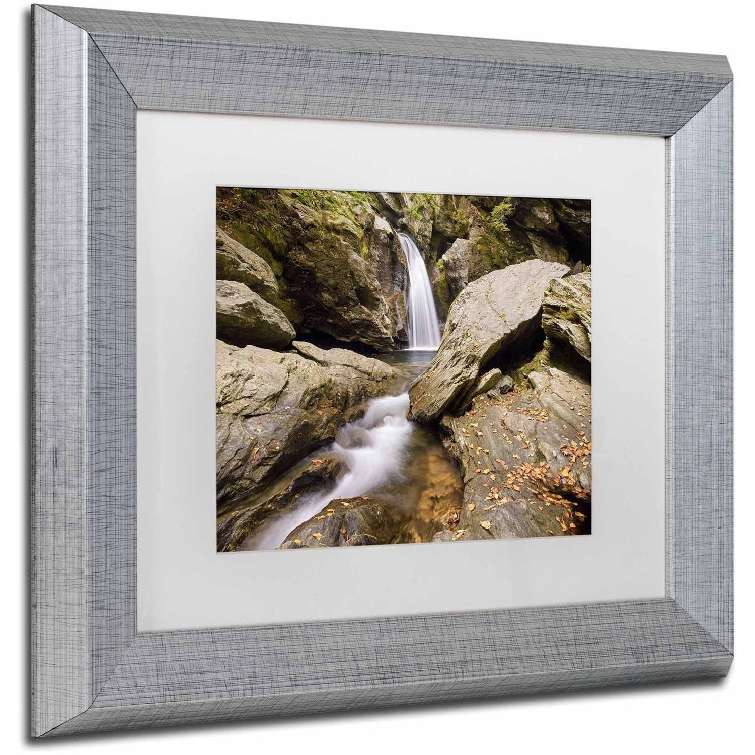 Trademark Fine Art 'Over and Under' Canvas Art by Michael Blanchette Photography, White Matte, Silver Frame