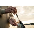 thumbnail image 4 of 6th Sense – Ozzie 4 Soft Plastic Swimbait, Finesse & Trailer Bait, Shad Profile (6/pk) – Made in the USA, 4 of 6