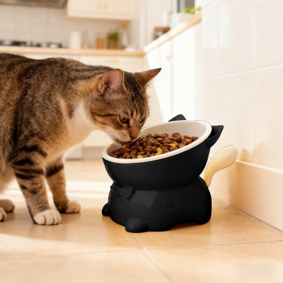LEFXSMR Dog Bowls, Spill-proof Pet Cat Feeder for Drinking & Feeding, Stainless Steel Cat Water Bowl for Pets Home Use, Black