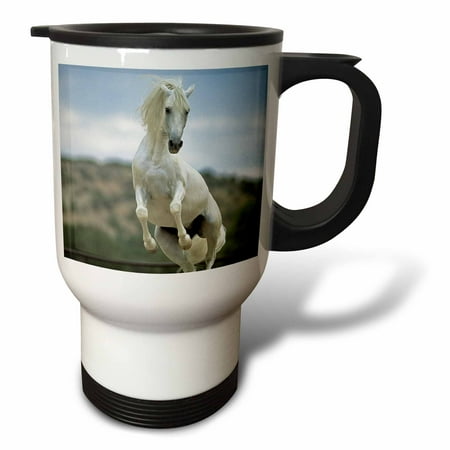 

Andalusian Stallion running horse - NA02 LKL0000 - Lee Klopfer 14oz Stainless Steel Travel Mug tm-84089-1