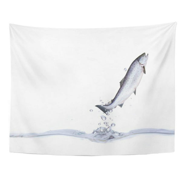 XDDJA Fish Jumping Out from Water Salmon Jump Trout Meat Salar Fishing Wall  Art Hanging Tapestry Home Decor for Living Room Bedroom Dorm 51x60 inch 