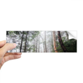 thumbnail image 1 of Brouillard Forêt Science Nature Paysage Rectangle Pare-Chocs Autocollant Carnet Fenêtre Autocollant, 1 of 1
