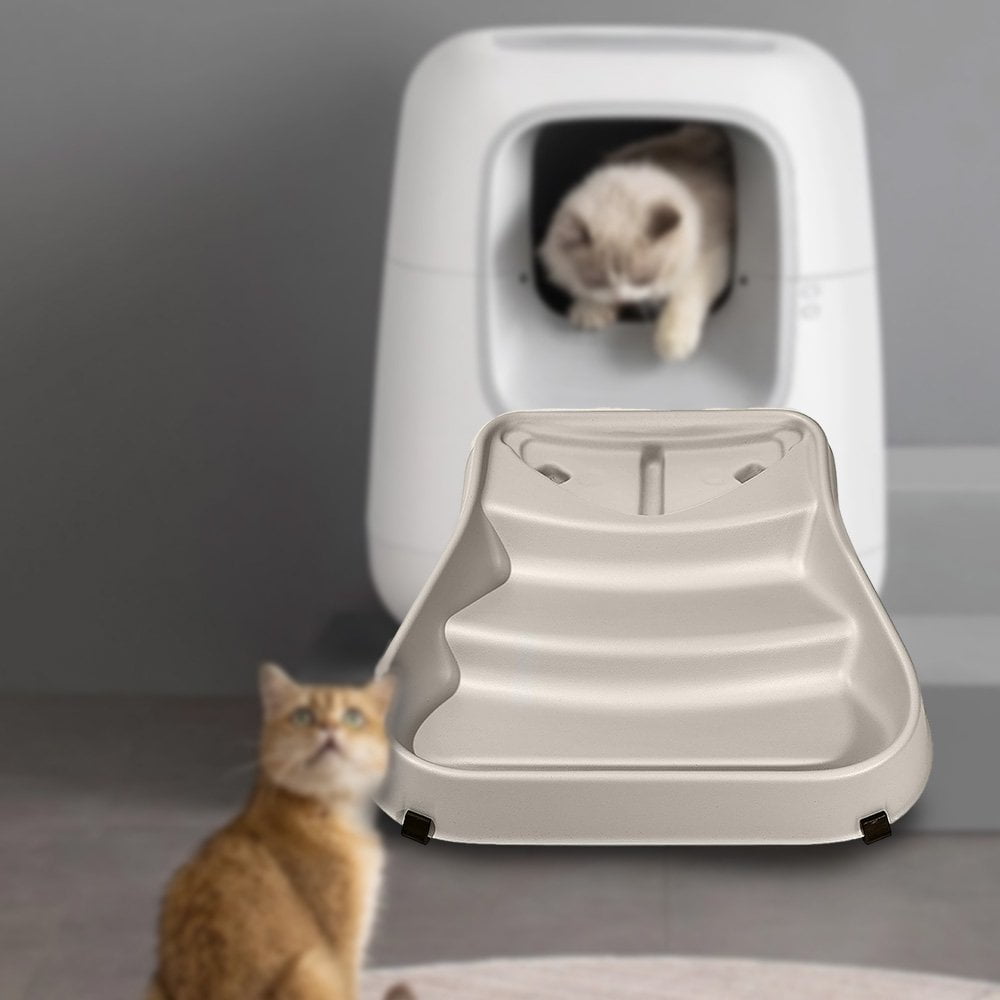 Kitty box ramp hot sale