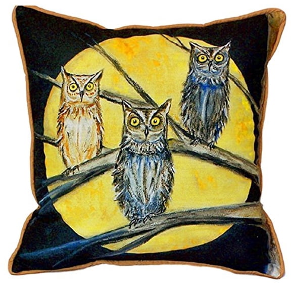 Night Owls Extra Large Zippered Pillow 22x22