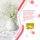 thumbnail image 5 of Billuyoard Paquete de 100 piezas Bolsa de papel de aluminio Envases de cosméticos Bolsas de paquete Ziplock con contenedor de envoltura de color brillante Type2 NO2 Billuyoard HA060121-22, 5 of 6