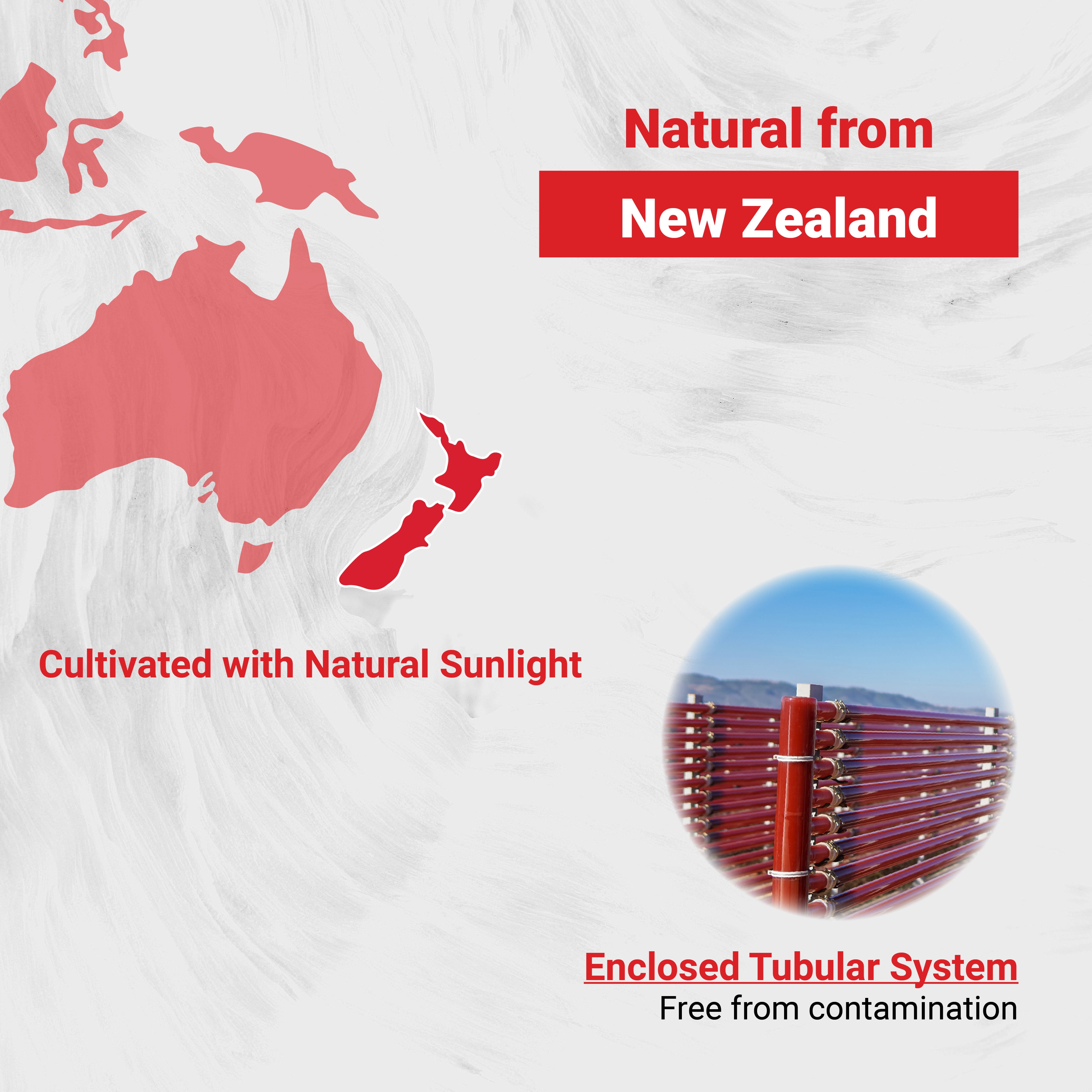 Naturalis New Zealand Astaxanthin (12mg) | Triple Strength with High-Oleic Sunflower Oil | Non-GMO, Soy & Gluten Free | 60 Softgels (2-Month Supply)