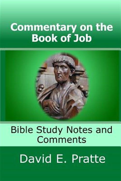 Pre-Owned Commentary on the Book of Job : Bible Study Notes and ...