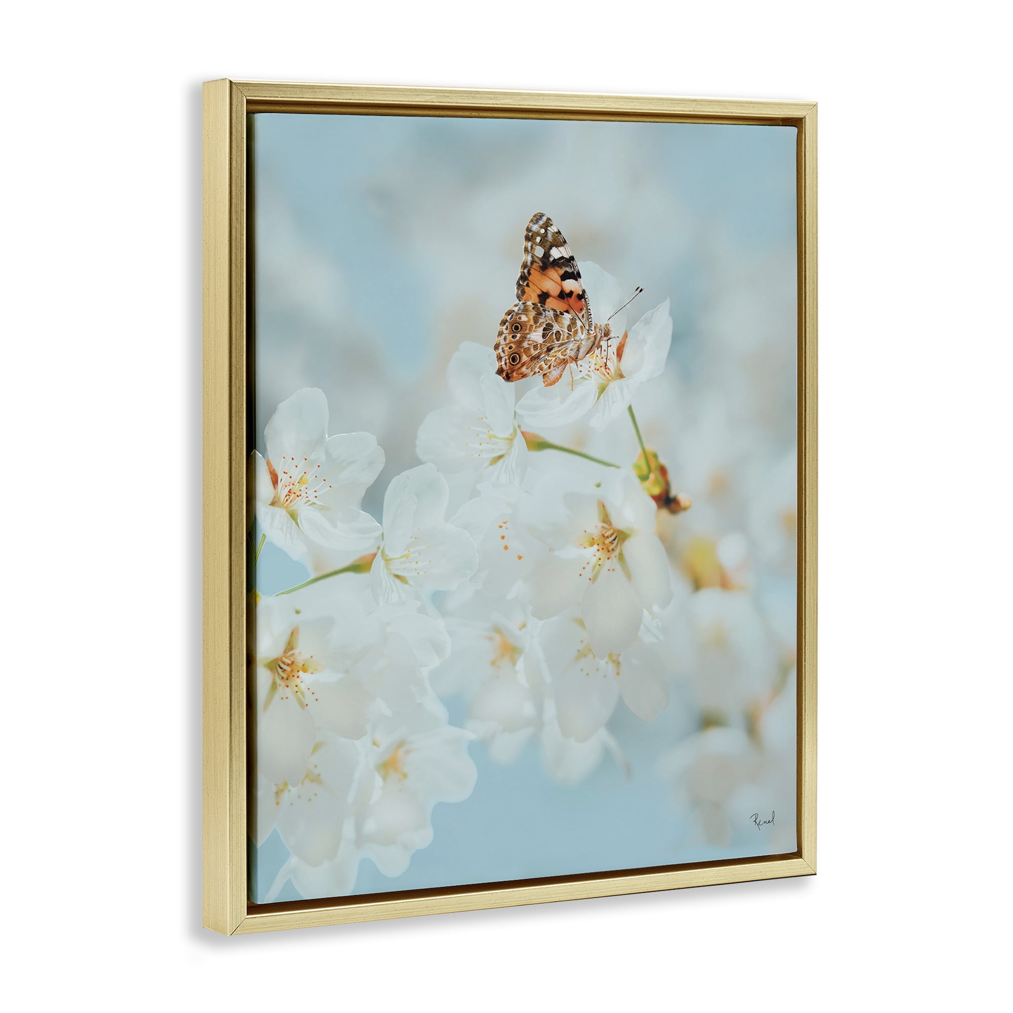 Stupell Industries Pale Blossoms & Butterfly Animals & Insects Photography Gold Floater Framed Art Print Wall Art, 17 x 21
