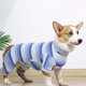 thumbnail image 5 of Xiao Hua Pijama para perro de manga larga a rayas, informal, para recuperación de cirugía de mascotas, adecuado para perros pequeños, 1 pieza, azul, talla M, 5 of 5
