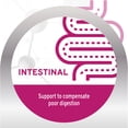 thumbnail image 3 of Forza10 Active Intestinal Dry Cat Food- .88 lb bag, 3 of 14