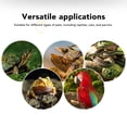 thumbnail image 3 of Ceramic Heat Emitter, No Light Emitting Heat Bulbs, Reptile Heat Lamp Bulb With Stable Temperature For Reptiles, Amphibian, Chicken, Dog, 3 of 8