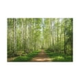 thumbnail image 2 of Forest Path Green Tree Nature Wilderness Photography Canvas Wall Art for Home Decor Ready-to-Hang, 2 of 7